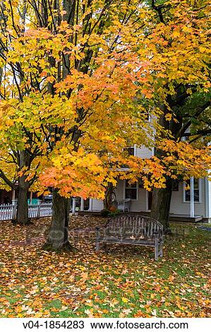 Typical house with porch and bench in autumn, Stowe, Vermont, USA View Large Photo Image Stock Image - Typical house with porch and bench in autumn, Stowe, Vermont, USA. Fotosearch