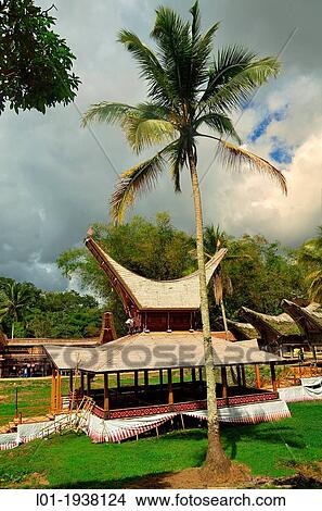 Typical Housing of Toraja country. Sulawesi, Indonesia View Large Photo Image Picture - Typical Housing of Toraja country. Sulawesi, Indonesia. Fotosearch
