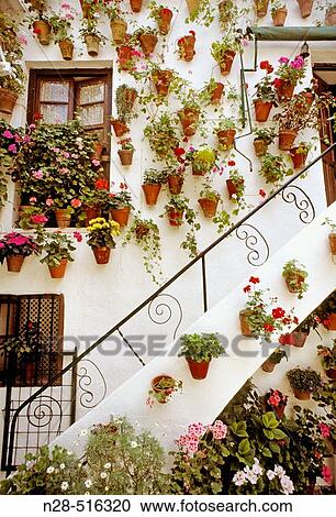 Stock Image - Typical? patio? in Calle San Basilio, C? rdoba. Andalusia, Spain. Fotosearch