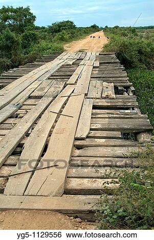 Stock Photograph - Typical wooden bridge in the Pantanal, Brazil. Fotosearch