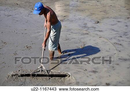 Ubud (Bali, Indonesia): a man working in a paddy View Large Photo Image Stock Image - Ubud (Bali, Indonesia): a man working in a paddy. Fotosearch