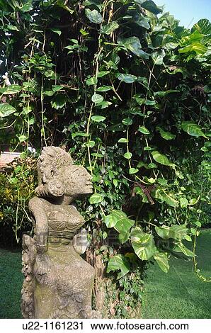 Ubud (Bali, Indonesia): statue at the Neka Art Museum View Large Photo Image Stock Image - Ubud (Bali, Indonesia): statue at the Neka Art Museum. Fotosearch