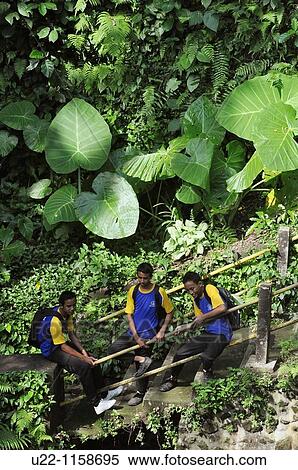 Ubud (Bali, Indonesia): students hanging out along the staircase that leads to the town's river View Large Photo Image Stock Photography - Ubud (Bali, Indonesia): students hanging out along the staircase that leads to the town's river. Fotosearch