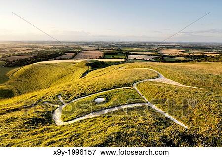 Uffington White Horse. Prehistoric Bronze Age chalk hill figure Oxfordshire, England. Close up over head, eye, ears and neck. View Large Photo Image Stock Photo - Uffington White Horse. Prehistoric Bronze Age chalk hill figure Oxfordshire, England. Close up over head, eye, ears and neck.. Fotosearch