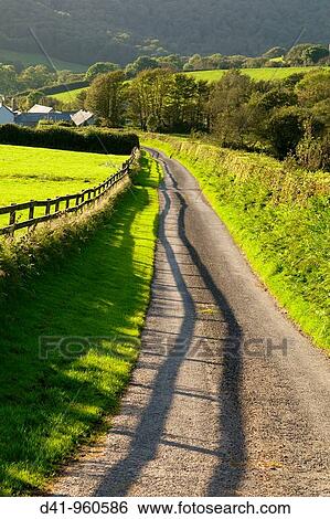 uk, england, Devon, north exmoor track View Large Photo Image Stock Photograph - uk, england, Devon, north exmoor track. Fotosearch
