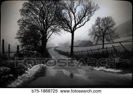 Stock Photography - UK, England, North Yorkshire, Yorkshire Dales, rural road with trees and snow. Fotosearch