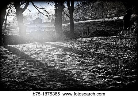 UK, England, North Yorkshire, Yorkshire Dales, scenery of the countryside with trees and shadows View Large Photo Image Stock Photography - UK, England, North Yorkshire, Yorkshire Dales, scenery of the countryside with trees and shadows. Fotosearch