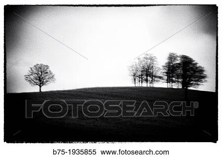UK, England, North Yorkshire, Yorkshire Dales, scenery of the countryside with trees View Large Photo Image Stock Photography - UK, England, North Yorkshire, Yorkshire Dales, scenery of the countryside with trees. Fotosearch