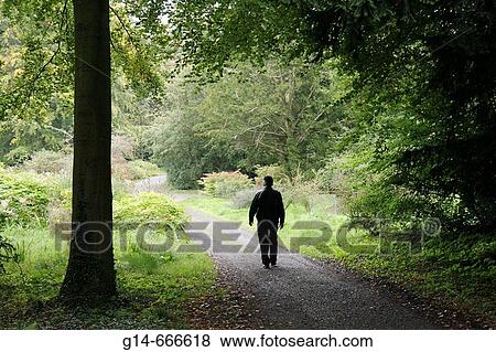 Stock Photo - UK, England, Northumberland, Longhoughton, Howick Hall Gardens 1782,. Fotosearch