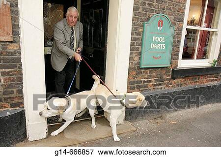 UK, England, Thirsk, Kirkgate, John Smith's Cross Keys Bar, pub, dog, retriever, sign, pool darts, leash, View Large Photo Image Stock Photo - UK, England, Thirsk, Kirkgate, John Smith's Cross Keys Bar, pub, dog, retriever, sign, pool darts, leash,. Fotosearch