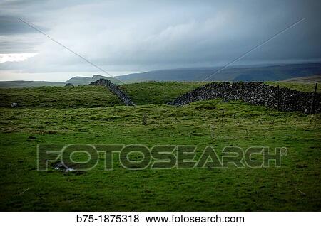 UK, England, Yorkshire, The Dales, countryside. View Large Photo Image Stock Photo - UK, England, Yorkshire, The Dales, countryside.. Fotosearch