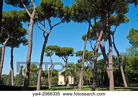 Stock Photography - Umbrella Pine trees and building, Villa Borghese gardens, Rome, Italy.. Fotosearch