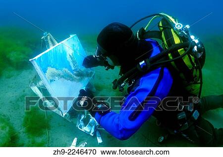 Underwater artist Yuriy Alexeev (Yuri Alekseev) paints a picture under water. Lake Baikal, Listvyanka, Irkutsky District, Irkutsk Oblast, Siberia, Russia, Eurasia. View Large Photo Image Stock Image - Underwater artist Yuriy Alexeev (Yuri Alekseev) paints a picture under water. Lake Baikal, Listvyanka, Irkutsky District, Irkutsk Oblast, Siberia, Russia, Eurasia.. Fotosearch