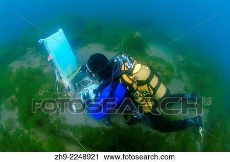 Stock Image - Underwater artist Yuriy Alexeev (Yuri Alekseev) paints a picture under water. Lake Baikal, Listvyanka, Irkutsky District, Irkutsk Oblast, Siberia, Russia, Eurasia.. Fotosearch