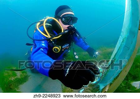 Stock Image - Underwater artist Yuriy Alexeev (Yuri Alekseev) paints a picture under water. Lake Baikal, Listvyanka, Irkutsky District, Irkutsk Oblast, Siberia, Russia, Eurasia.. Fotosearch