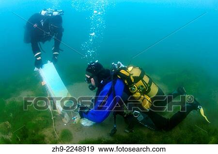 Underwater artist Yuriy Alexeev (Yuri Alekseev) paints a picture under water. Lake Baikal, Listvyanka, Irkutsky District, Irkutsk Oblast, Siberia, Russia, Eurasia. View Large Photo Image Stock Photo - Underwater artist Yuriy Alexeev (Yuri Alekseev) paints a picture under water. Lake Baikal, Listvyanka, Irkutsky District, Irkutsk Oblast, Siberia, Russia, Eurasia.. Fotosearch