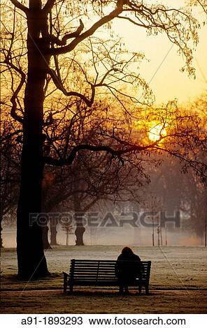 UNITED KINGDOM LONDON HYDE PARK AT DUSK IN WINTER SUNSET View Large Photo Image Stock Image - UNITED KINGDOM LONDON HYDE PARK AT DUSK IN WINTER SUNSET. Fotosearch