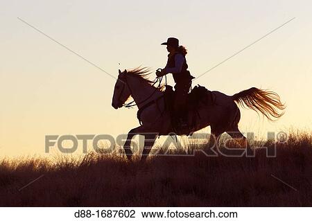 United States, Wyoming, Shell, The Hideout Guest Ranch, cow-boy, View Large Photo Image Stock Image - United States, Wyoming, Shell, The Hideout Guest Ranch, cow-boy,. Fotosearch