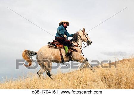 Stock Image - United States, Wyoming, Shell, The Hideout Guest Ranch, cowgirl. Fotosearch
