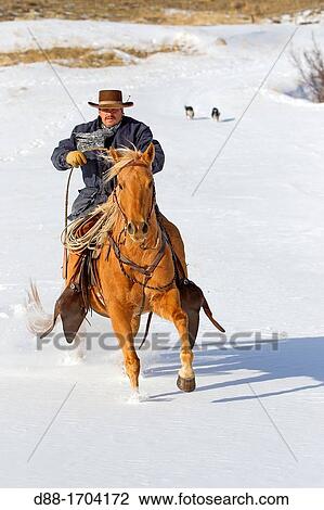 United States, Wyoming, Shell, The Hideout Guest Ranch, cowboy View Large Photo Image Stock Image - United States, Wyoming, Shell, The Hideout Guest Ranch, cowboy. Fotosearch