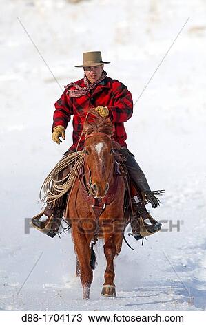 United States, Wyoming, Shell, The Hideout Guest Ranch, cowboy View Large Photo Image Stock Image - United States, Wyoming, Shell, The Hideout Guest Ranch, cowboy. Fotosearch