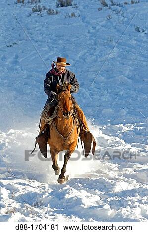 United States, Wyoming, Shell, The Hideout Guest Ranch, cowboy View Large Photo Image Stock Image - United States, Wyoming, Shell, The Hideout Guest Ranch, cowboy. Fotosearch