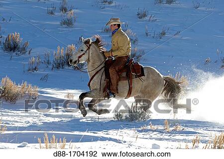 United States, Wyoming, Shell, The Hideout Guest Ranch, cowboy View Large Photo Image Stock Image - United States, Wyoming, Shell, The Hideout Guest Ranch, cowboy. Fotosearch