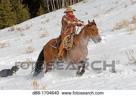Stock Image - United States, Wyoming, Shell, The Hideout Guest Ranch, cow-boy, Boots. Fotosearch