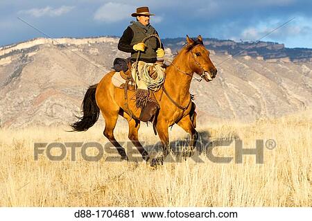 United States, Wyoming, Shell, The Hideout Guest Ranch, cowboy View Large Photo Image Stock Image - United States, Wyoming, Shell, The Hideout Guest Ranch, cowboy. Fotosearch