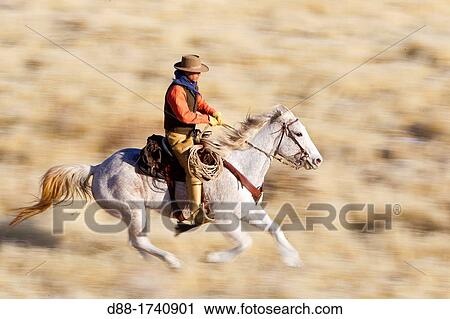 United States, Wyoming, Shell, The Hideout Guest Ranch, cow-boy View Large Photo Image Stock Image - United States, Wyoming, Shell, The Hideout Guest Ranch, cow-boy. Fotosearch