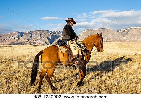 United States, Wyoming, Shell, The Hideout Guest Ranch, cow-boy View Large Photo Image Stock Image - United States, Wyoming, Shell, The Hideout Guest Ranch, cow-boy. Fotosearch