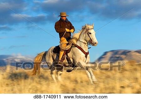United States, Wyoming, Shell, The Hideout Guest Ranch, cow-boy View Large Photo Image Stock Image - United States, Wyoming, Shell, The Hideout Guest Ranch, cow-boy. Fotosearch
