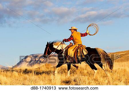 United States, Wyoming, Shell, The Hideout Guest Ranch, cow-boy View Large Photo Image Stock Image - United States, Wyoming, Shell, The Hideout Guest Ranch, cow-boy. Fotosearch