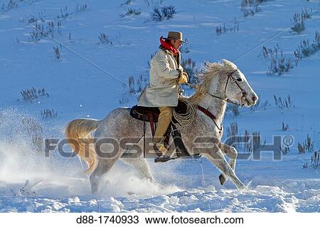 Stock Image - United States, Wyoming, Shell, The Hideout Guest Ranch, cow-boy. Fotosearch