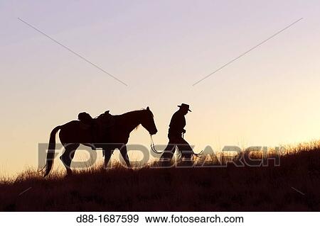 United States, Wyoming, Shell, The Hideout Guest Ranch, cowboy View Large Photo Image Stock Photo - United States, Wyoming, Shell, The Hideout Guest Ranch, cowboy. Fotosearch