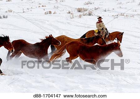 Stock Photo - United States, Wyoming, Shell, The Hideout Guest Ranch, cow-boy, Boots. Fotosearch