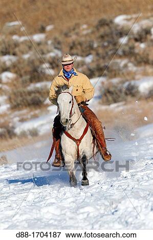 Stock Photo - United States, Wyoming, Shell, The Hideout Guest Ranch, cowboy. Fotosearch