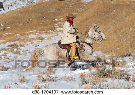 Stock Photo - United States, Wyoming, Shell, The Hideout Guest Ranch, cowboy. Fotosearch