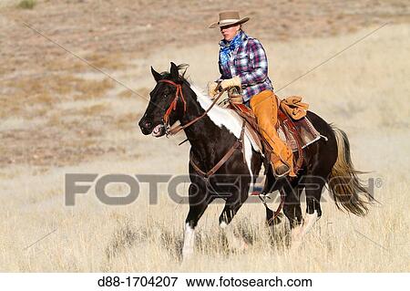 United States, Wyoming, Shell, The Hideout Guest Ranch, cowgirl View Large Photo Image Stock Photo - United States, Wyoming, Shell, The Hideout Guest Ranch, cowgirl. Fotosearch