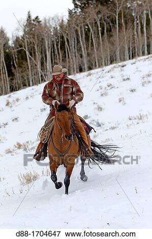 Stock Photo - United States, Wyoming, Shell, The Hideout Guest Ranch, cow-boy, Boots. Fotosearch