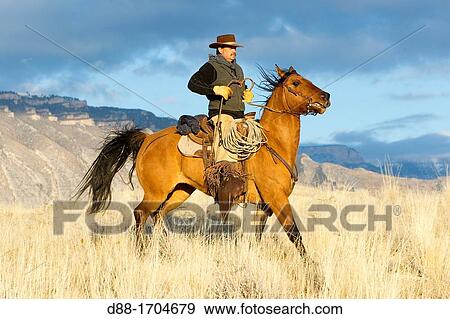 United States, Wyoming, Shell, The Hideout Guest Ranch, cowboy View Large Photo Image Stock Photo - United States, Wyoming, Shell, The Hideout Guest Ranch, cowboy. Fotosearch