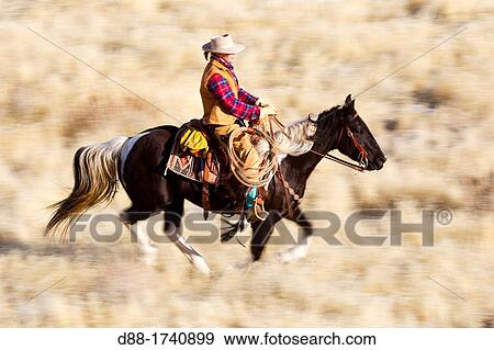 United States, Wyoming, Shell, The Hideout Guest Ranch, cow-boy View Large Photo Image Stock Photo - United States, Wyoming, Shell, The Hideout Guest Ranch, cow-boy. Fotosearch