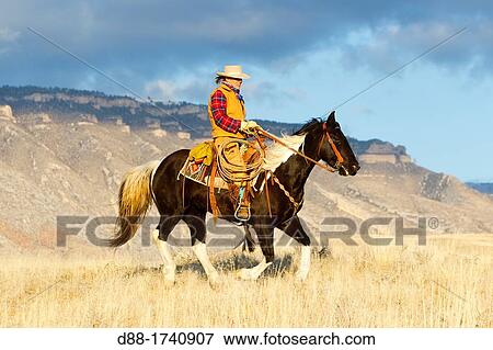 United States, Wyoming, Shell, The Hideout Guest Ranch, cow-boy View Large Photo Image Stock Photo - United States, Wyoming, Shell, The Hideout Guest Ranch, cow-boy. Fotosearch