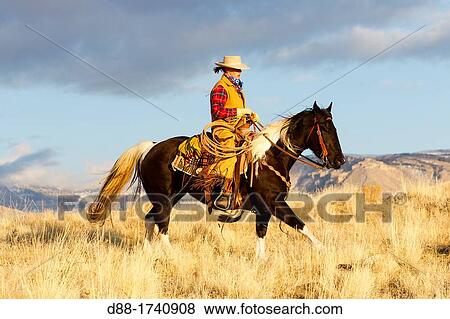 United States, Wyoming, Shell, The Hideout Guest Ranch, cow-boy View Large Photo Image Stock Photo - United States, Wyoming, Shell, The Hideout Guest Ranch, cow-boy. Fotosearch