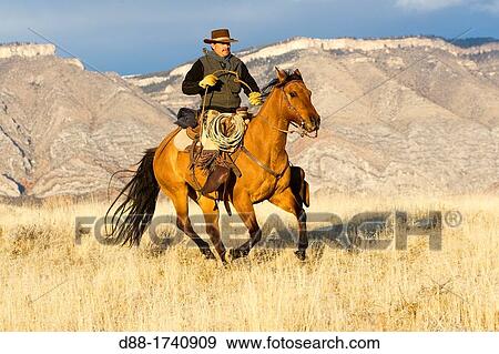 United States, Wyoming, Shell, The Hideout Guest Ranch, cow-boy View Large Photo Image Stock Photo - United States, Wyoming, Shell, The Hideout Guest Ranch, cow-boy. Fotosearch