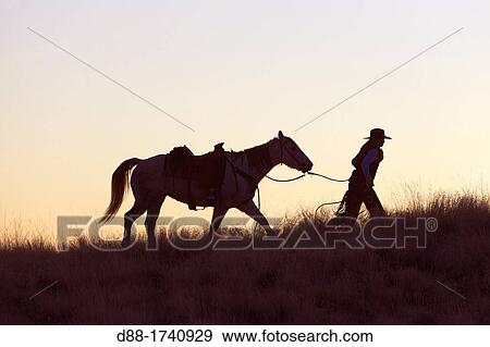 United States, Wyoming, Shell, The Hideout Guest Ranch, cow-boy, View Large Photo Image Stock Photo - United States, Wyoming, Shell, The Hideout Guest Ranch, cow-boy,. Fotosearch