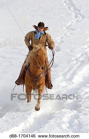 Stock Photograph - United States, Wyoming, Shell, The Hideout Guest Ranch, cowgirl. Fotosearch