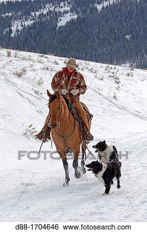 Stock Photograph - United States, Wyoming, Shell, The Hideout Guest Ranch, cow-boy, Boots. Fotosearch