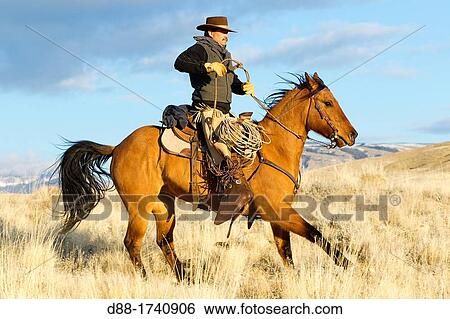 United States, Wyoming, Shell, The Hideout Guest Ranch, cow-boy View Large Photo Image Stock Photograph - United States, Wyoming, Shell, The Hideout Guest Ranch, cow-boy. Fotosearch