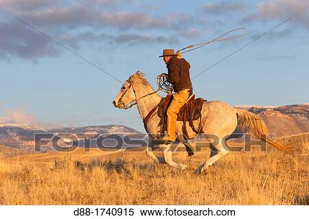 Stock Photography - United States, Wyoming, Shell, The Hideout Guest Ranch, cow-boy. Fotosearch